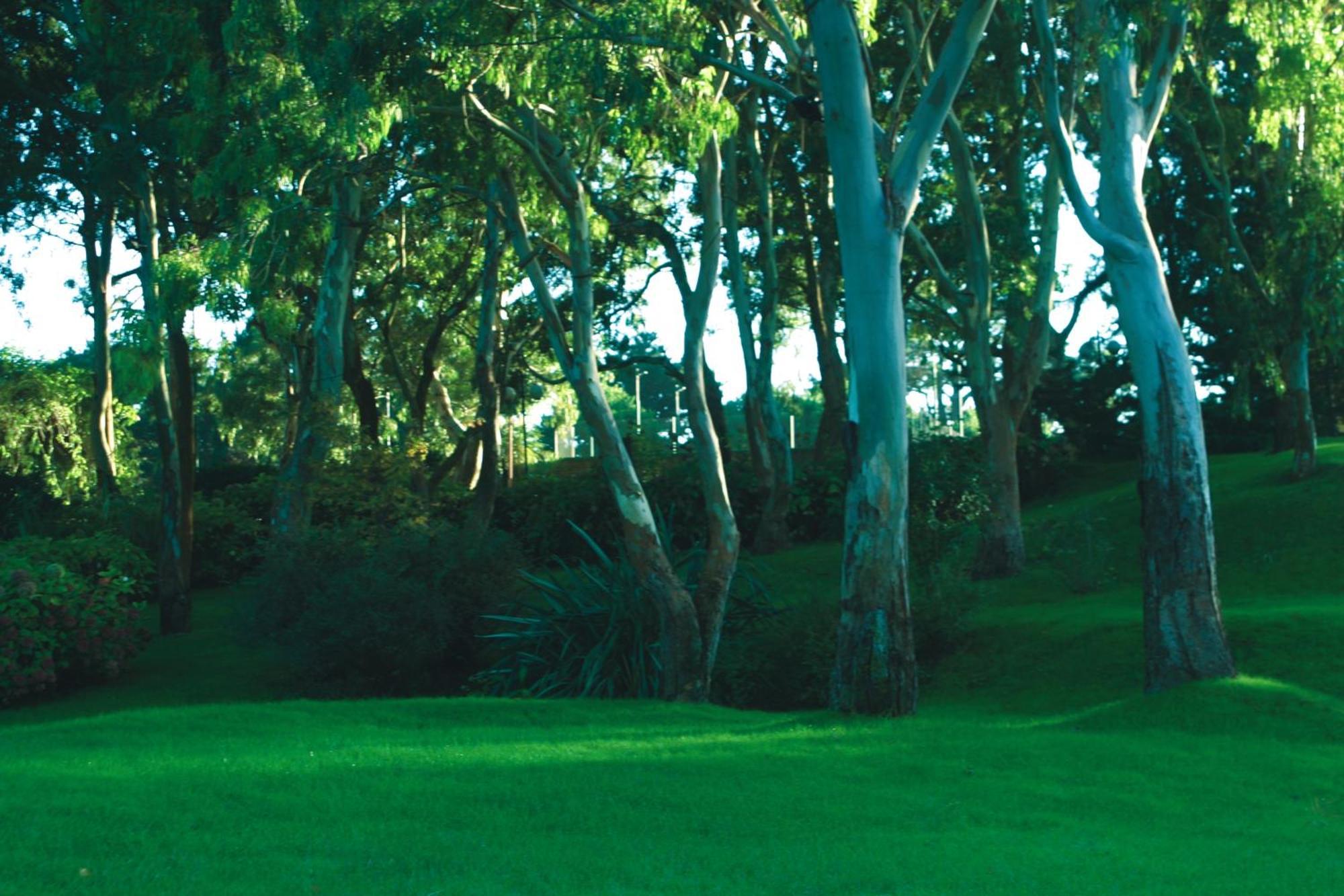 Hotel Del Bosque Pinamar Dış mekan fotoğraf